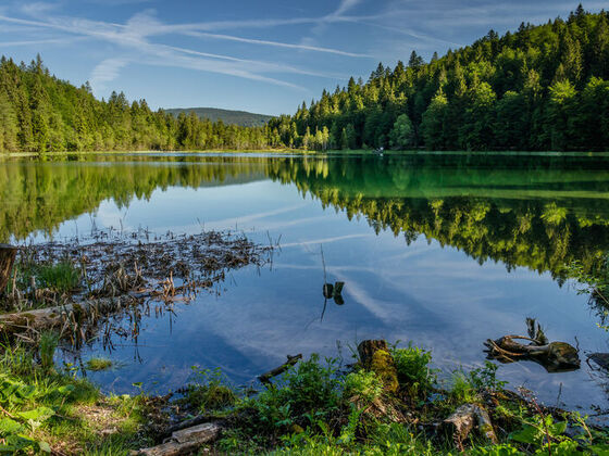 Frillensee Inzell - Ruhe