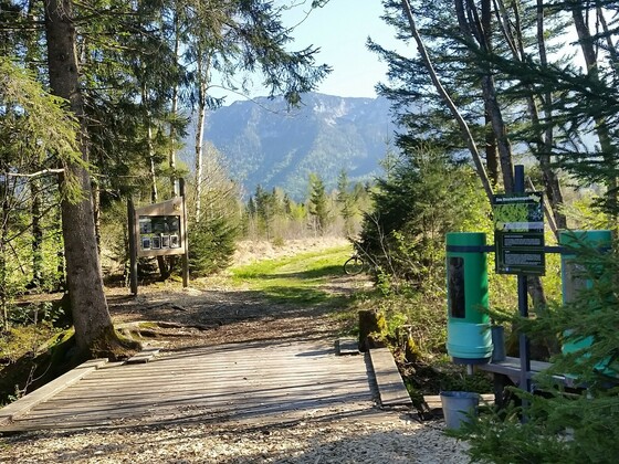 Moor-Erlebnis-Pfad: Moorbodenexperiment