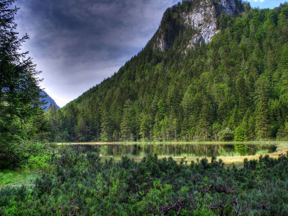 Krottensee Inzell - Naturidyll