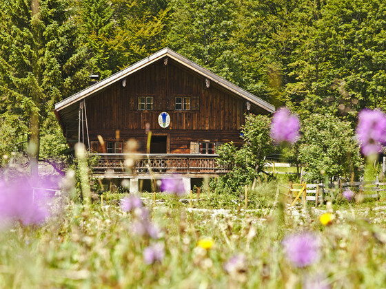 Kloaschaualm I