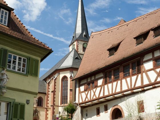Altort Sulzfeld