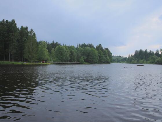 Waldsee