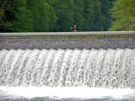 fischen-auf-der-steyr-verkl