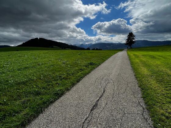 Schwarzenbachrunde
