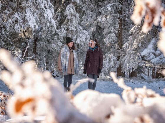 Winterwandern in Oberstaufen