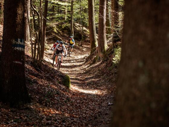Mountainbiken im Mühlviertler Granitland