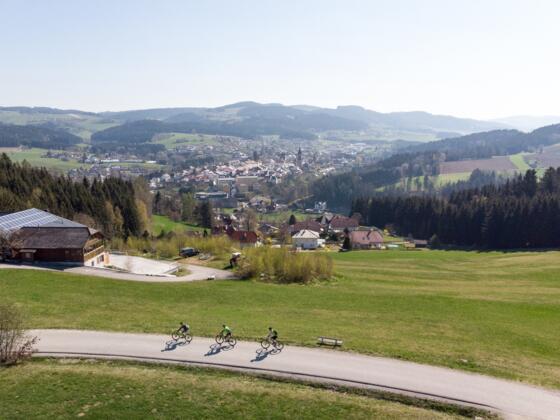 Mountainbiken in Haslach an der Mühl