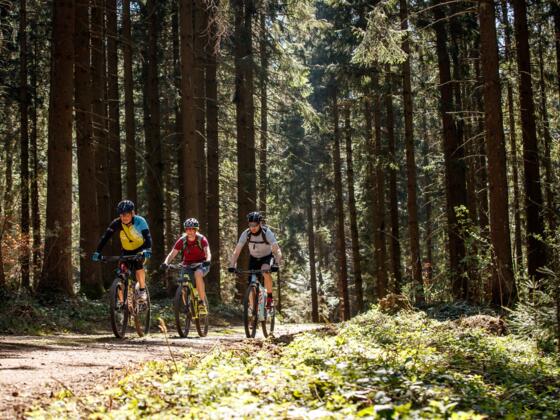 Mountainbiken in Haslach an der Mühl