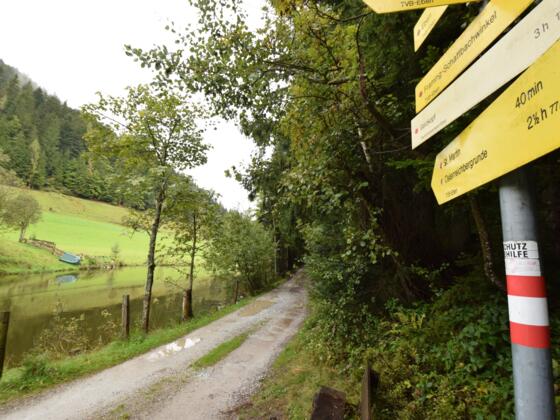 Österreichberg-Rundweg ab Halmgut