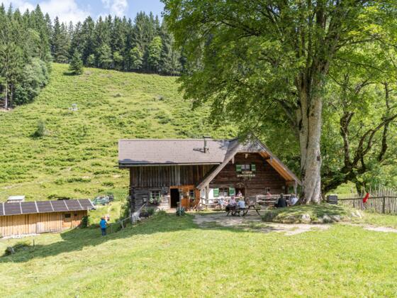 Die Steiner Alm