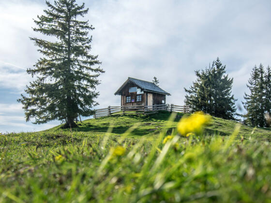 Die Bezoldhütte auf dem Toten Mann