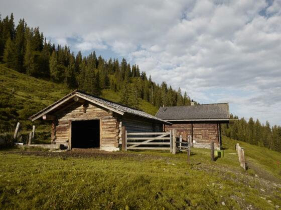 Pölsneralm