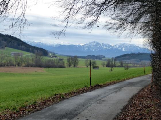 Am Weg zum Hof Grub mit dem Blick über das Oichtental auf die Berchtesgadener Alpen.