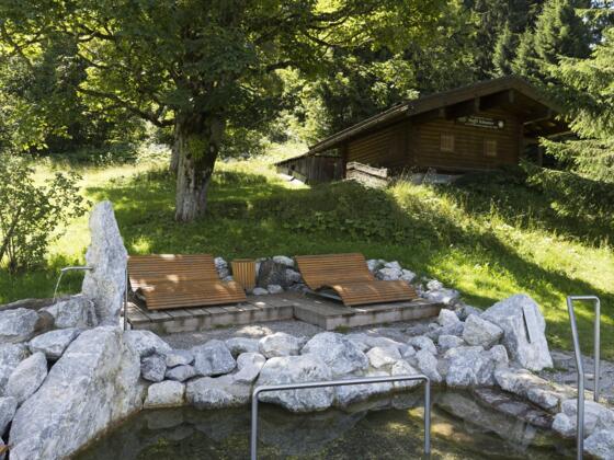 Naturkneippbecken Schwand