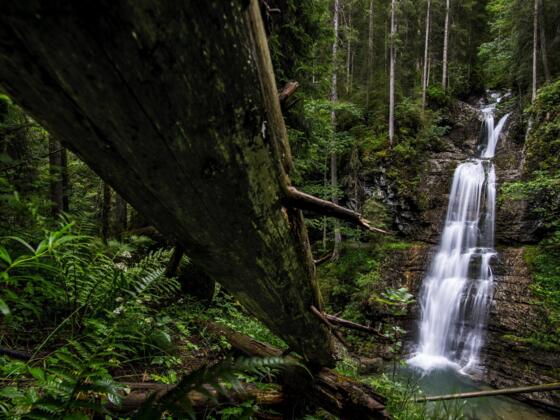Wasserfälle im Kleinwalsertal
