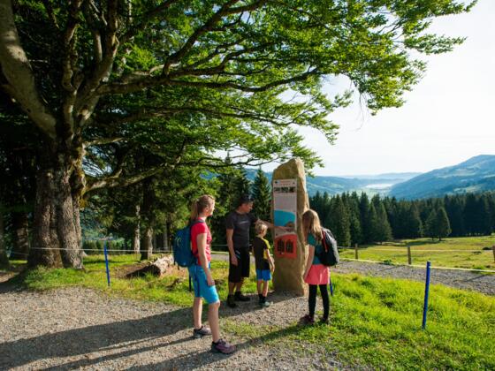 Stationen und Aussichten entlang des Wildbienenpfades