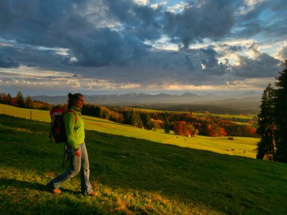 Rückweg im Abendlicht