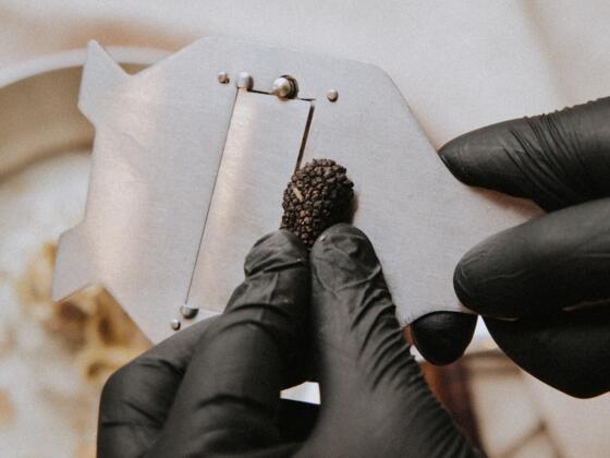 Linzerie_Mieter_Trüffelhang