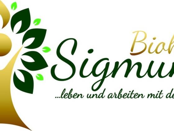 Logo Sigmund