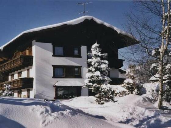 Haus Baumgartner im Winter