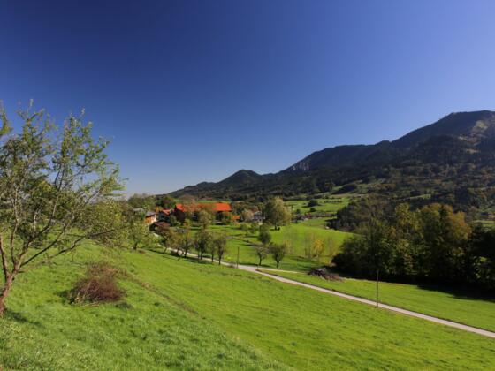 Der wieder breite Rückweg (hinten die Hochries)