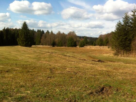 Hochkastner Filz