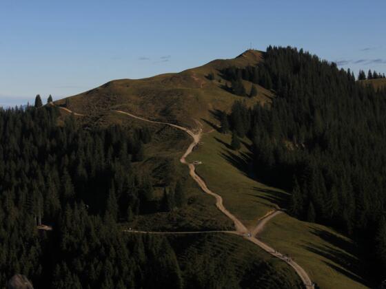 Westseite des Hinteren Hörnle