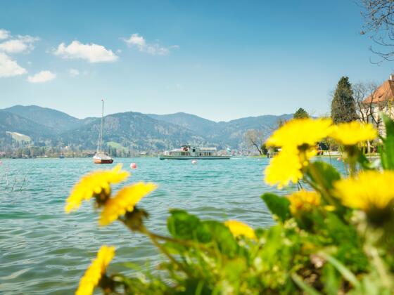 Frühling am Tegernsee