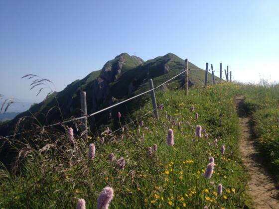 Gelchenwanger Grat und Rindalphorn