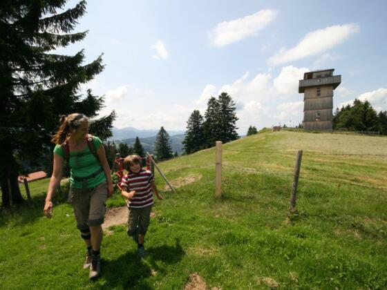 Der Aussichtstturm am Hauchenberg