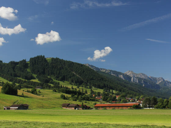 Der Buchenberg vom Tal aus