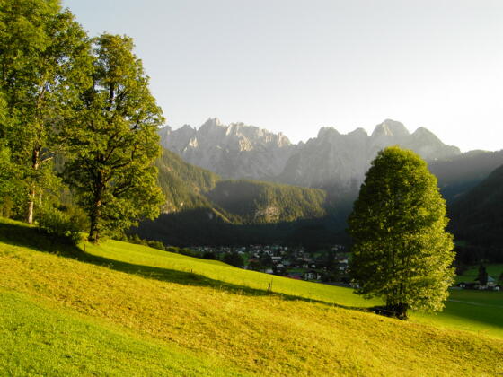 Ferienwohnung Angelika - Winter