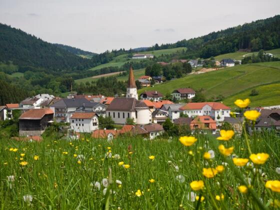 1Headerbild