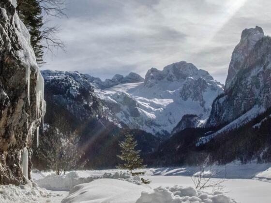 Vordere Gosausee im Winter