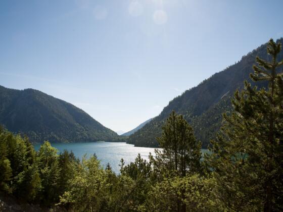 Plansee