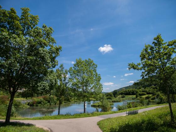 Am idyllischen Stadtweiher in Riedenburg