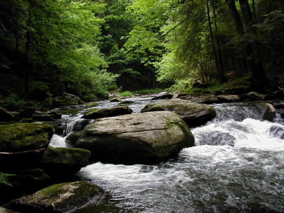 Bärnlochweg