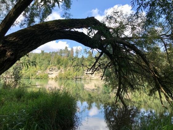Trailrunning am Enns-Aktiv-Weg