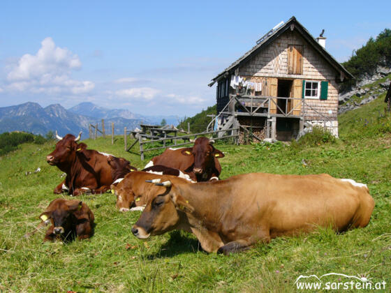 Sarsteinalm Bad Goisern