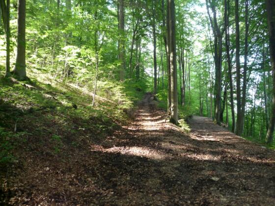 Wanderung im Lautertal