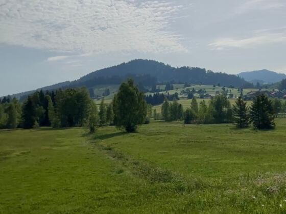 Moosgebiet Oberstaufen