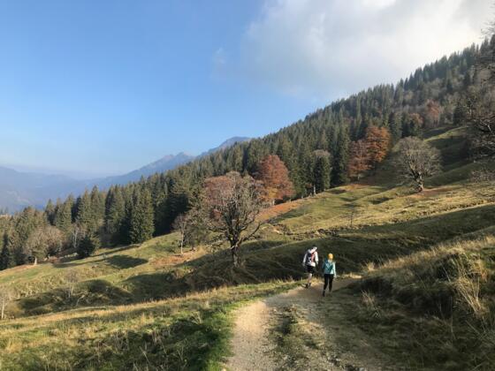 Wanderweg Hochgrat