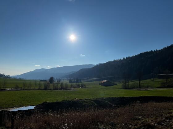 Blick vom Hündle ins Konstanzer-Tal