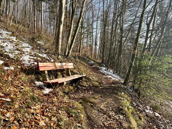 Steinköpfl-Trail - Molln