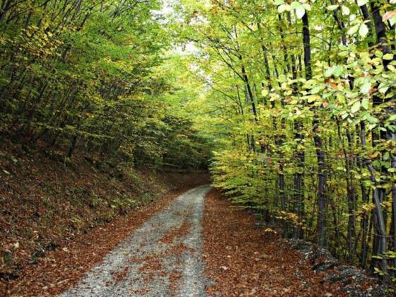 Freizeitwanderwege Weißbach