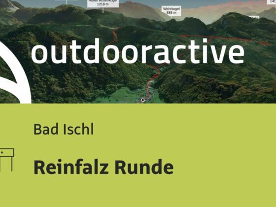 Reinfalz Runde