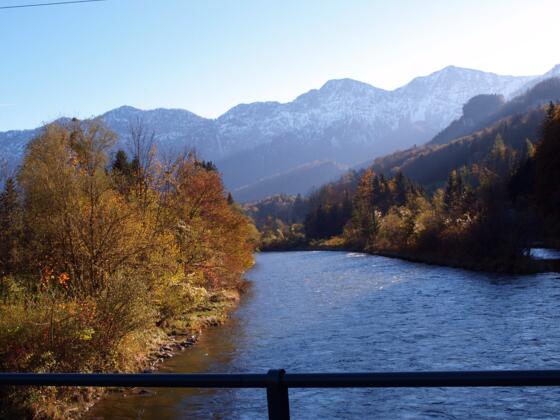 Traunbrücke 485m