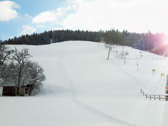 Skilift Gasthof Stubauer - Gaflenz
