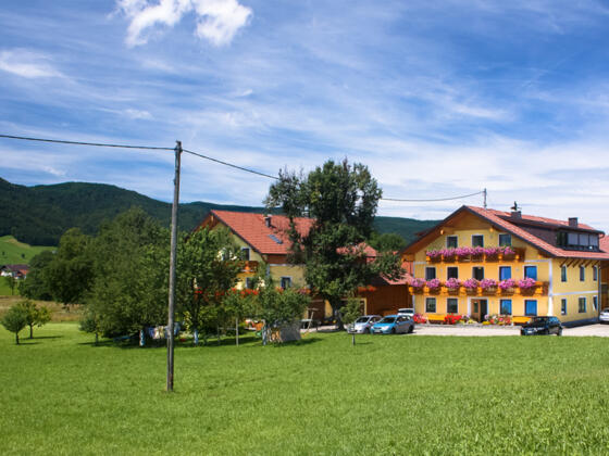 Pühringer - Schweighofer