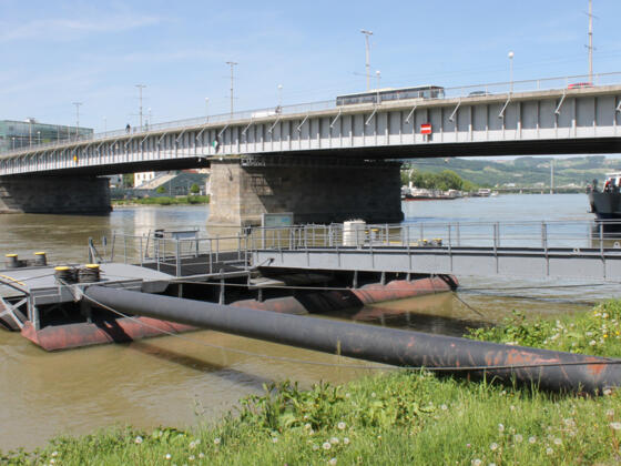Ponton Linz Nibelungen 12